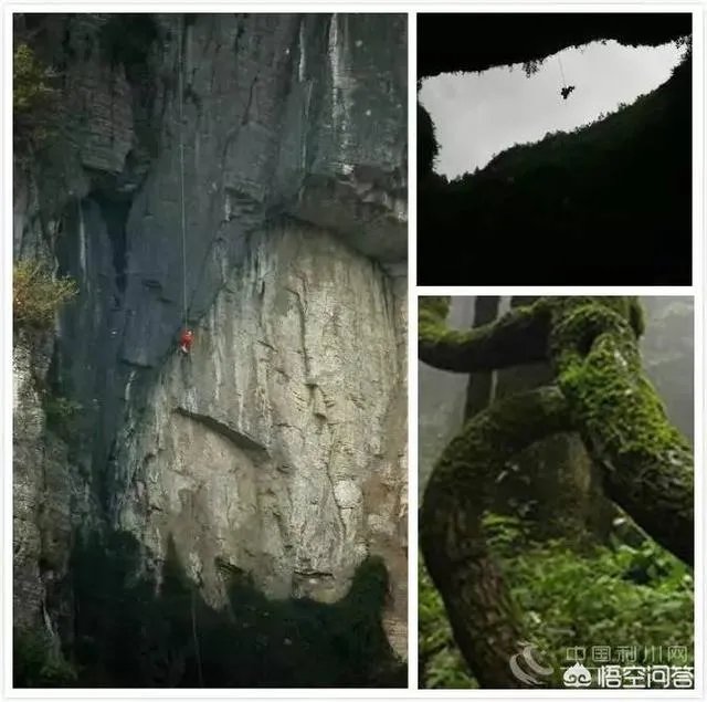 湖北哪里有天坑？