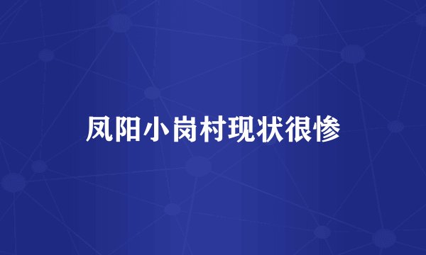 凤阳小岗村现状很惨