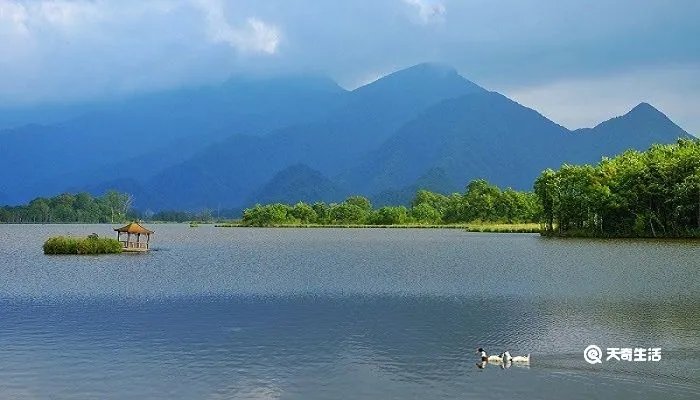 望洞庭的古诗意思