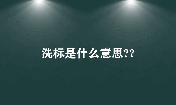 洗标是什么意思??