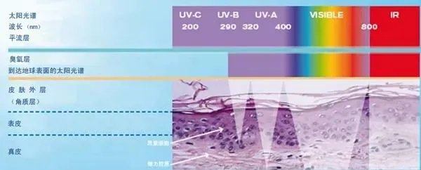 防晒霜怎么用？