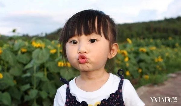 小葡萄图片欣赏揭秘小葡萄为什么能红的原因