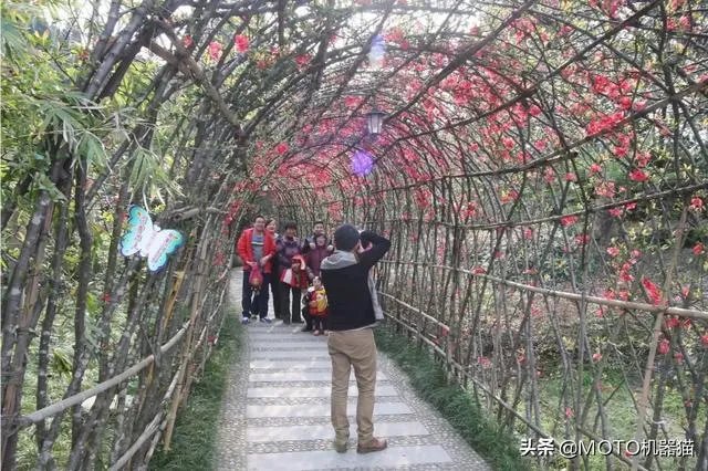 绵阳没有那种可以吃玩住的农家乐？有什么推荐的吗？