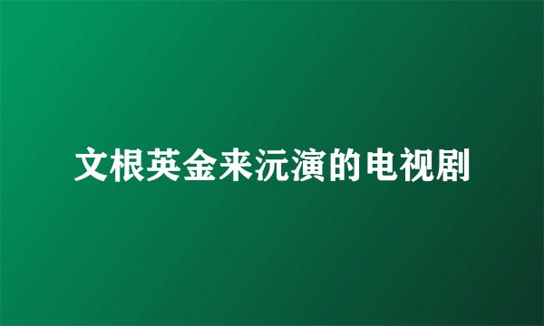 文根英金来沅演的电视剧