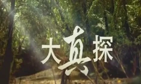 cctv10《大真探》为什么不播了？