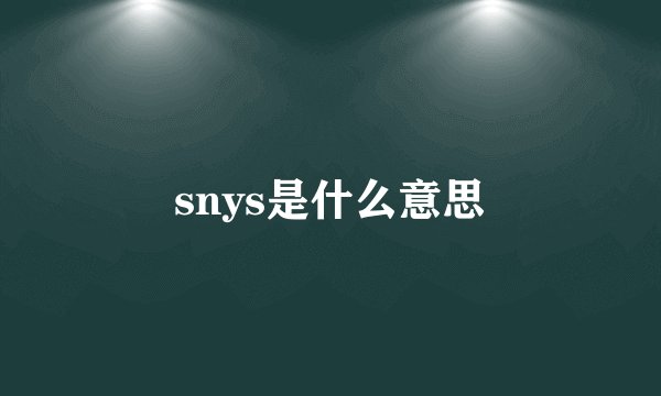 snys是什么意思