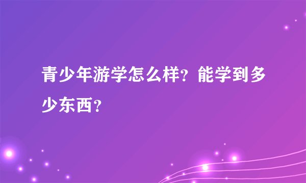 青少年游学怎么样？能学到多少东西？