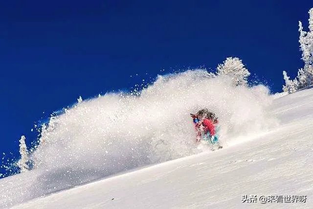 雪的密度很小，为什么雪崩会压死人？