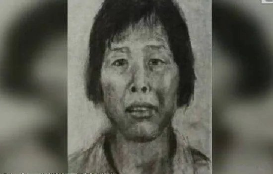 梅姨是谁抓到了吗 人贩子梅姨为什么要抓小孩子