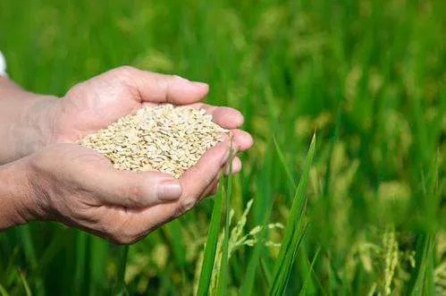 餐厅为杜绝浪费采用末位淘汰制，具体是如何实行