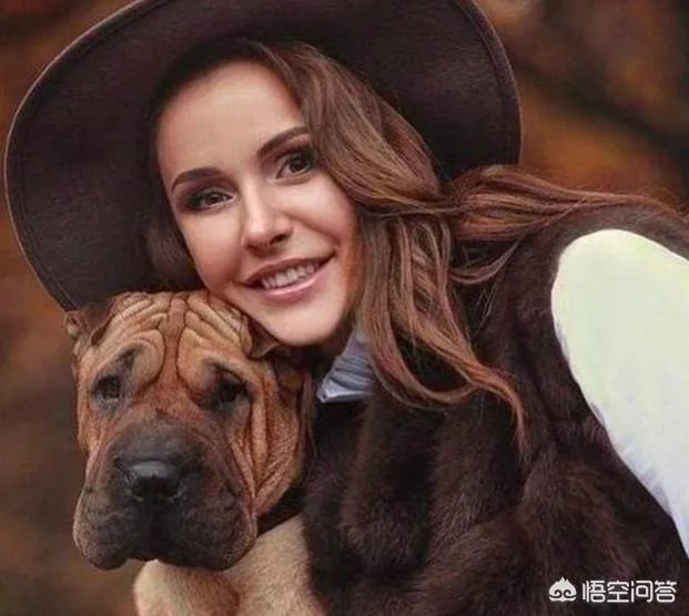 美国队的希尔和俄罗斯队的冈察洛娃，谁才是2019年女排世界杯第一美女球员？你怎么看？