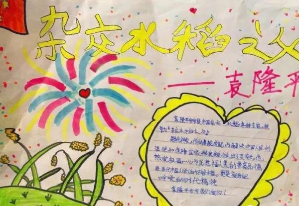 袁隆平手抄报五年级