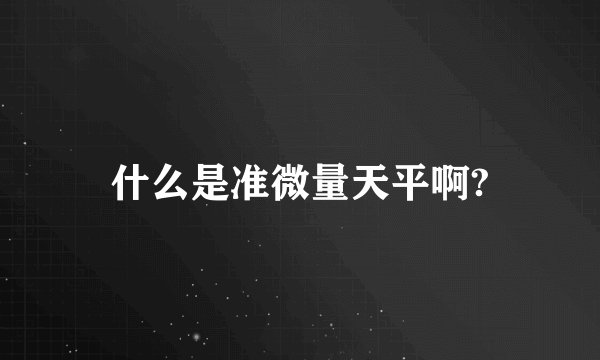 什么是准微量天平啊?
