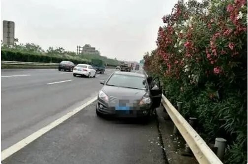 停高速看别人开车看热闹真的醉了