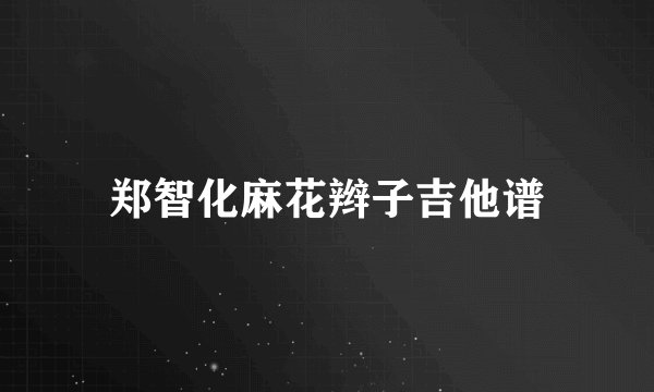 郑智化麻花辫子吉他谱