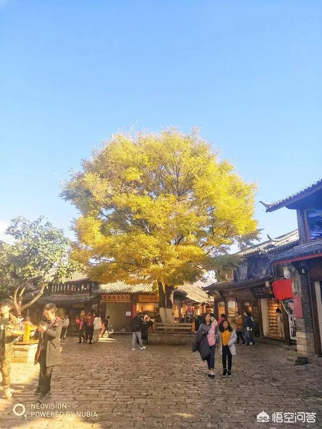 过年去云南旅游合适吗？