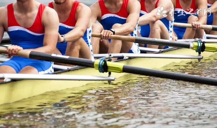 饮食养生小常识都有哪些