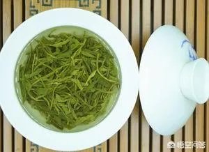 如何辨别信阳毛尖新茶？