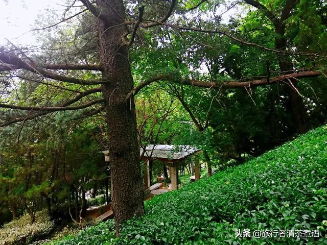 边旅行边赚钱的办法可行吗?