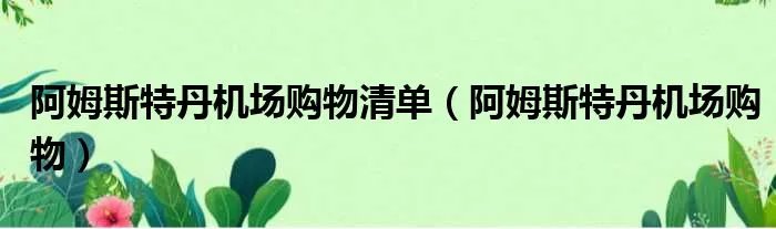 阿姆斯特丹机场购物清单（阿姆斯特丹机场购物）