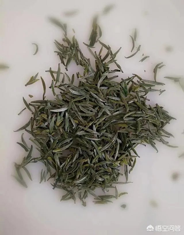 如何辨别信阳毛尖新茶？