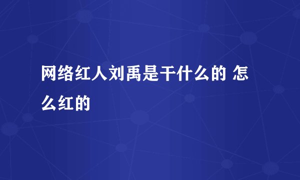 网络红人刘禹是干什么的 怎么红的