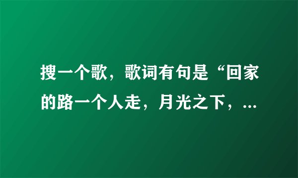 搜一个歌，歌词有句是“回家的路一个人走，月光之下，你曾说过爱我”？