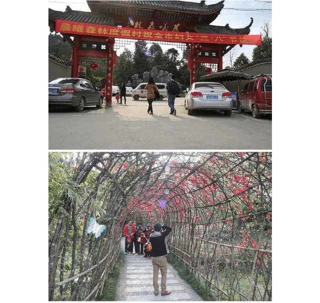 绵阳没有那种可以吃玩住的农家乐？有什么推荐的吗？