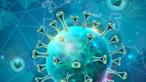 出血热传染人吗