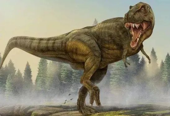 中国目前发现的最大恐龙足迹点在四川，这种足迹到底有多稀有？