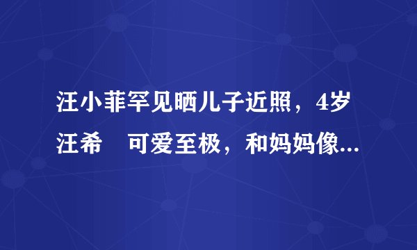 汪小菲罕见晒儿子近照，4岁汪希箖可爱至极，和妈妈像似复制粘贴