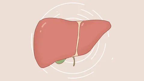 乙肝早期的症状有哪些