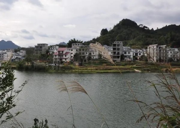 广西巴马长寿村房价