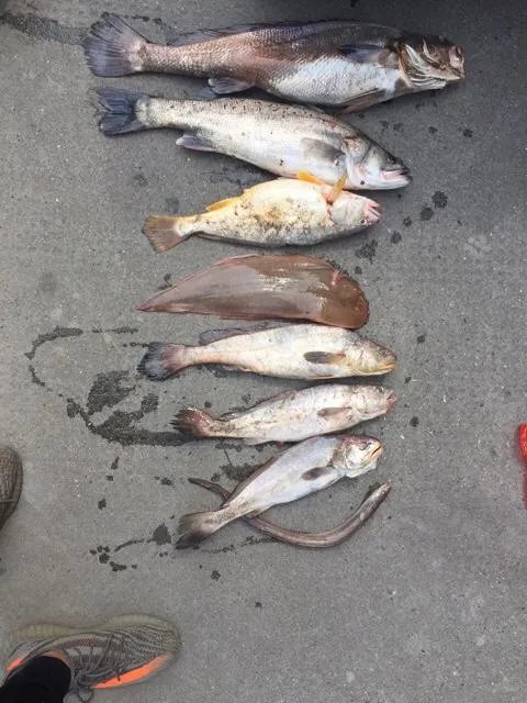 海宁尖山的水库还能钓鱼吗