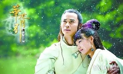 卫国公主的卫国公主