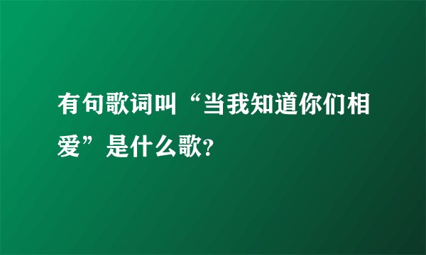 有句歌词叫“当我知道你们相爱”是什么歌？