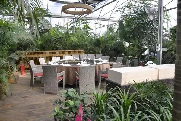 绵阳没有那种可以吃玩住的农家乐？有什么推荐的吗？