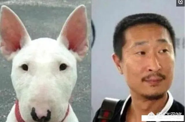 徐锦江回应撞脸“雷神”和“海王”，还有哪些中外明星的“撞脸”事件令人忍俊不禁？