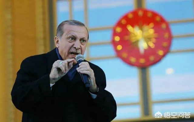 怎样评判土耳其的橄榄枝军事行动一个月？