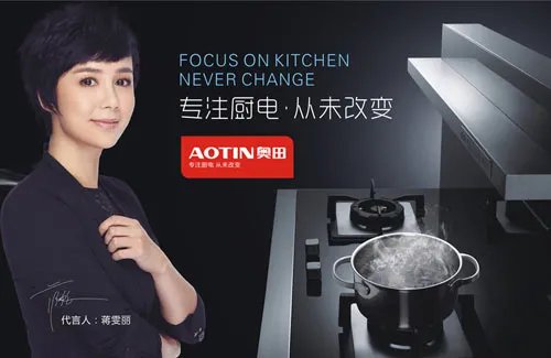 中国集成灶十大排名有哪些品牌 什么品牌质量好