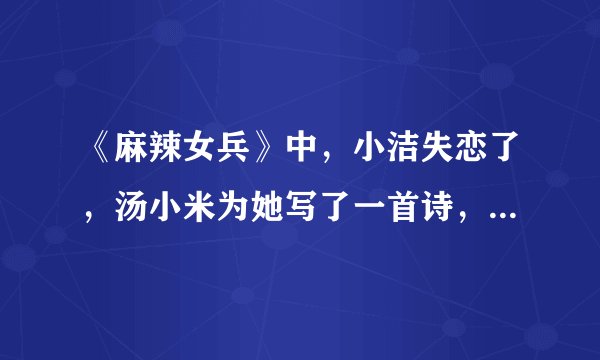 《麻辣女兵》中，小洁失恋了，汤小米为她写了一首诗，是什么？谢谢～
