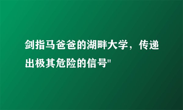 剑指马爸爸的湖畔大学，传递出极其危险的信号