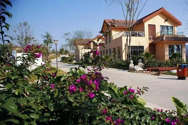 绵阳没有那种可以吃玩住的农家乐？有什么推荐的吗？