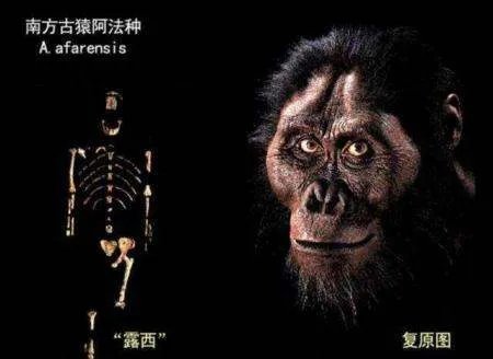 科学家证实，人类是从鱼类进化来的，进化过程大概是怎样的？