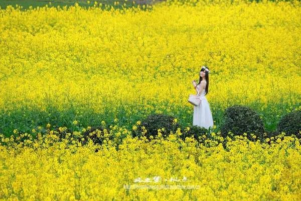 为何在辽宁阜新56平米住房售2万的情况很常见呢？