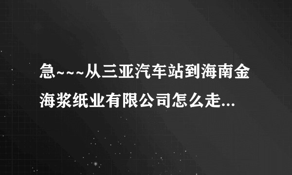 急~~~从三亚汽车站到海南金海浆纸业有限公司怎么走？多长时间？谢谢