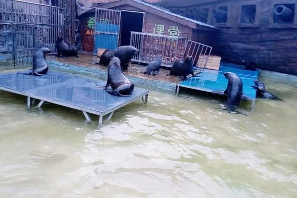 郑州两个海洋馆哪个好