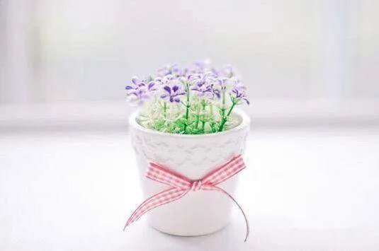 婚姻里的女人到底有多累？