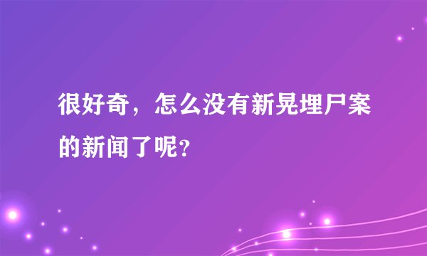 很好奇，怎么没有新晃埋尸案的新闻了呢？