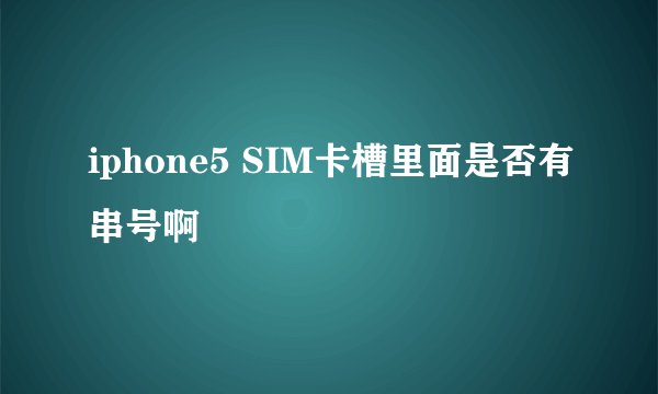 iphone5 SIM卡槽里面是否有串号啊